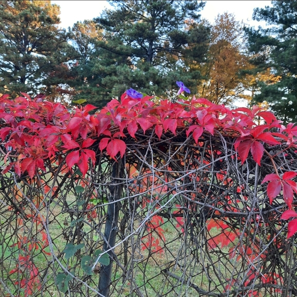 A little of everything at "TheAtticOfOurs". - Picture 1 of 2